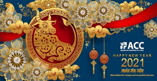 HOLIDAY NOTICE OF NEW YEAR & LUNAR NEW YEAR 2021