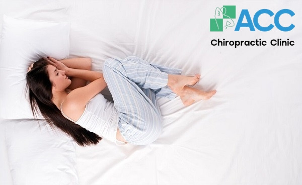 the intervertebral discs