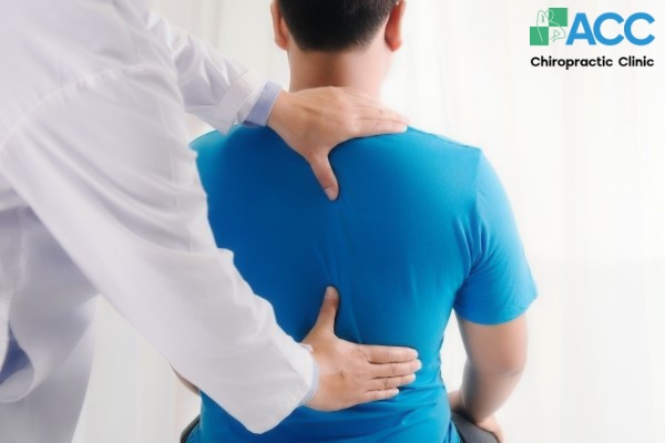 chiropractic adjustment guide