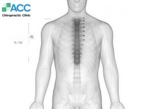 chiropractic care for middle back pain