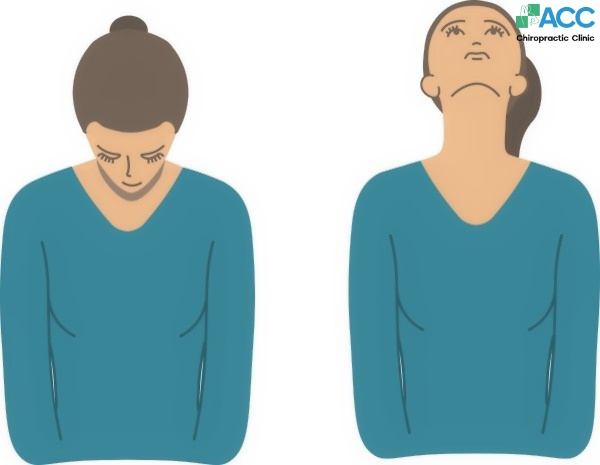 neck hernia workout guide