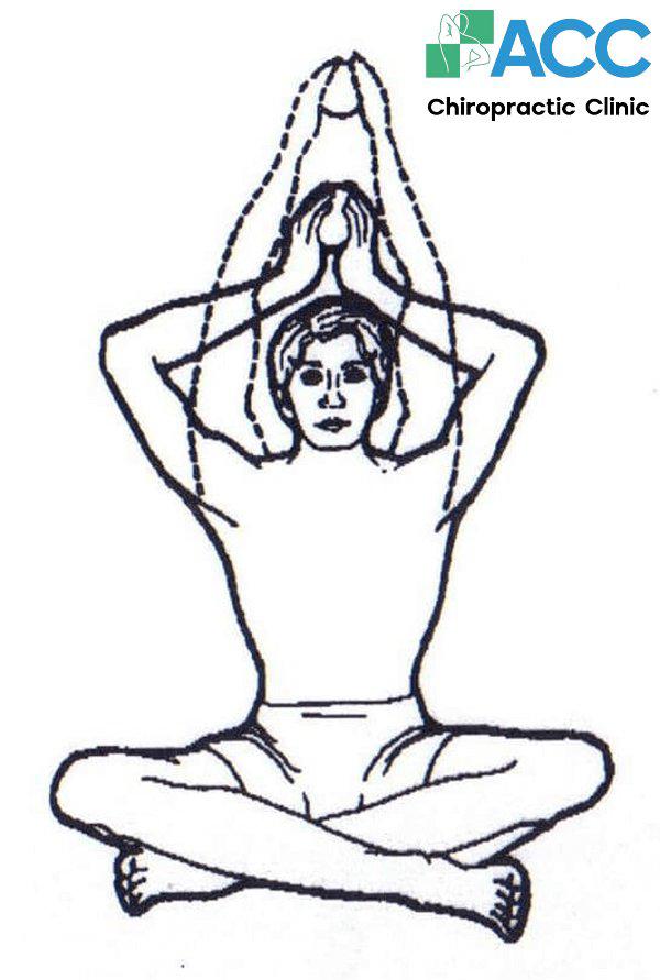 scoliosis exercise routine