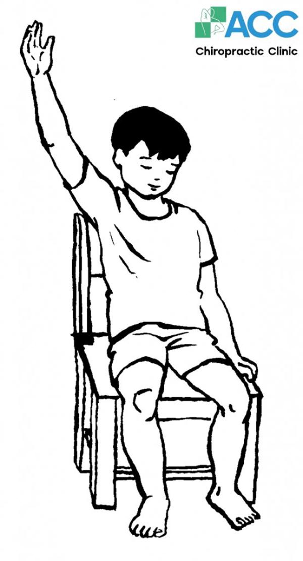 scoliosis stretches