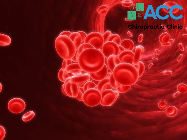 Blood Clots (Thrombosis) Formation