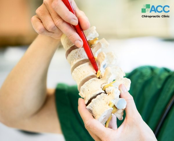 l4 l5 spinal progression risks