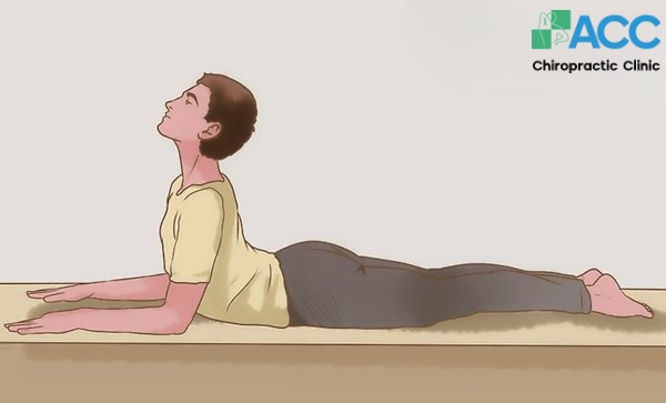 safe-back stretches for seniors