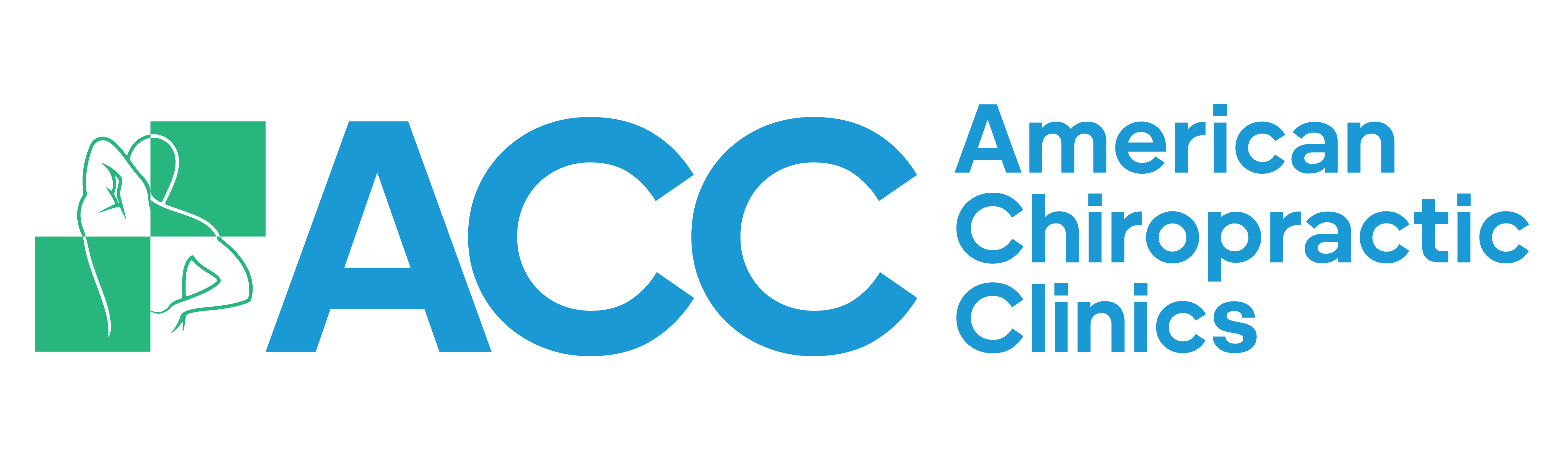 image logo