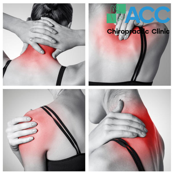 biểu hiện bệnh thoát vị đĩa đệm