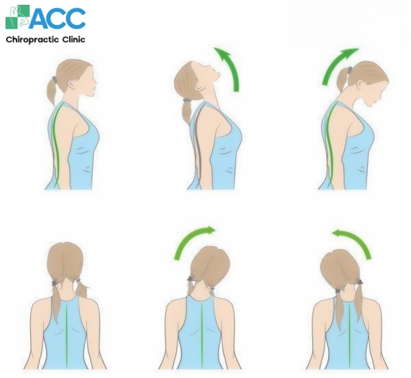 các bài tập cho người thoái hóa đốt sống cổ