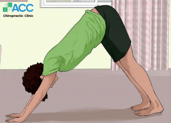 bài tập phục hồi vẹo cột sống