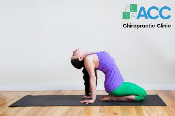 bài tập thể dục thoát vị đĩa đệm