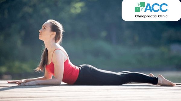 bài tập thể dục tốt nhất cho người đau lưng