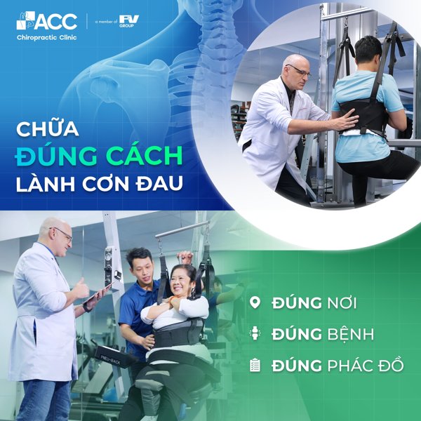 các bài tập chữa đau lưng