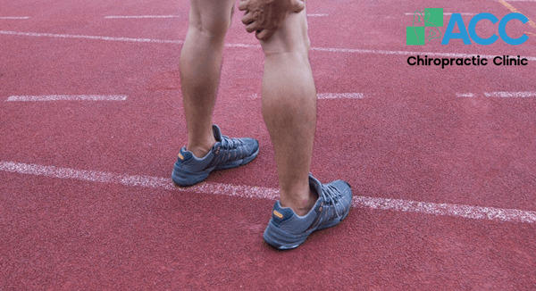 dây chằng chéo sau