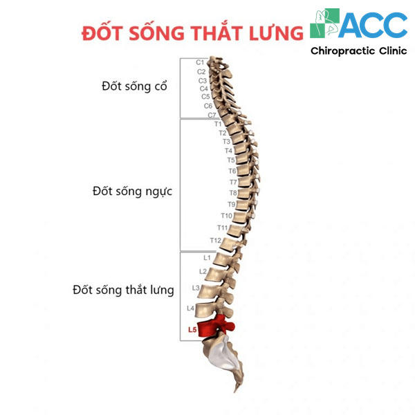 trượt đốt sống lưng
