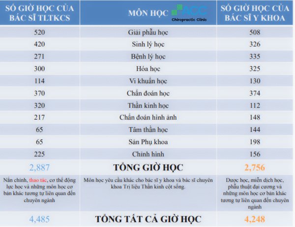 nắn chỉnh chiropractic
