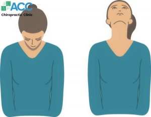 bài tập thể dục thoát vị đĩa đệm cổ