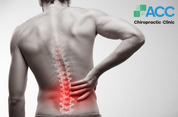 giải phẫu phân loại chấn thương cột sống