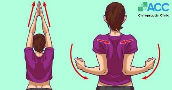 thể dục vai gáy