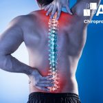 thoái hóa đa khớp là gì