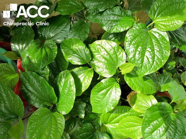 cách chữa đau khớp ngón tay tại nhà