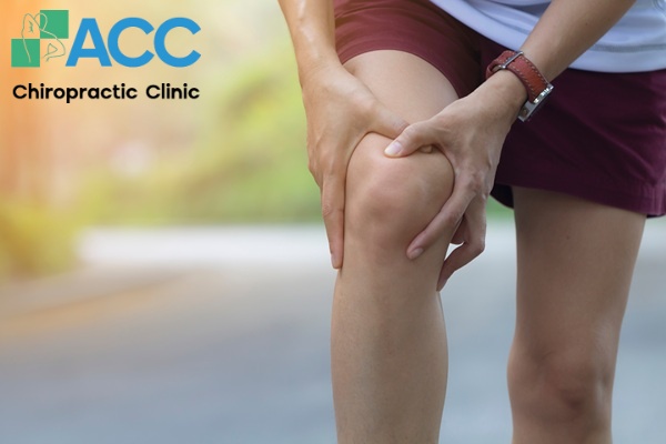 vai trò dây chằng gối