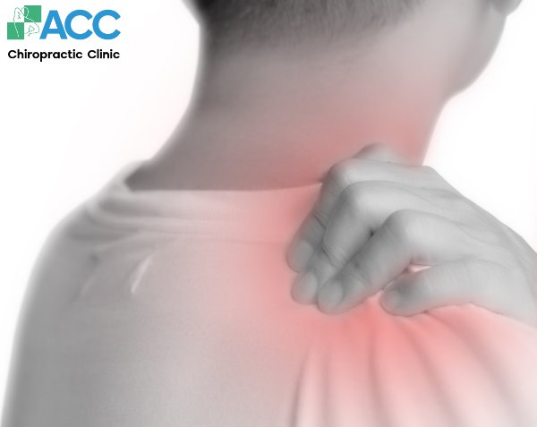 đau bả vai sau lưng