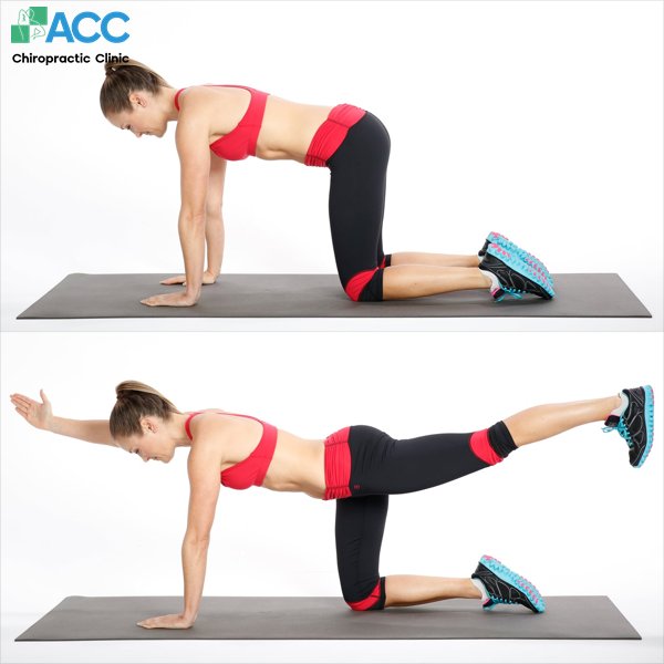 bài tập điều trị thoát vị đĩa đệm l4l5