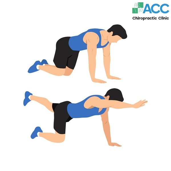 bài tập phục hồi thoát vị đĩa đệm l4l5