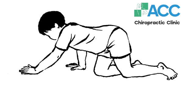 bài tập hỗ trợ chữa vẹo cột sống hiệu quả 4