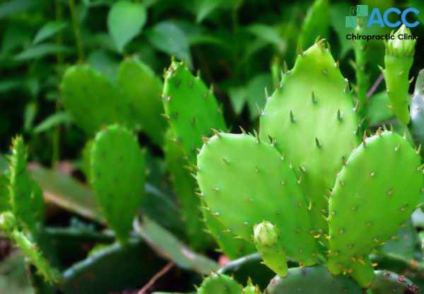 dân gian chữa thoái hóa đốt sống lưng