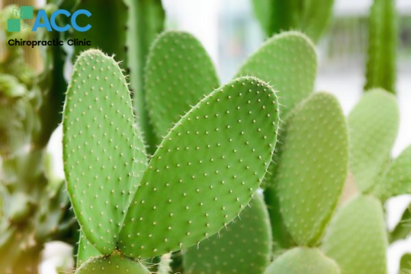 chữa thoát vị đĩa đệm tại nhà