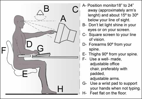 Acc English Office Chairs And Back Pain